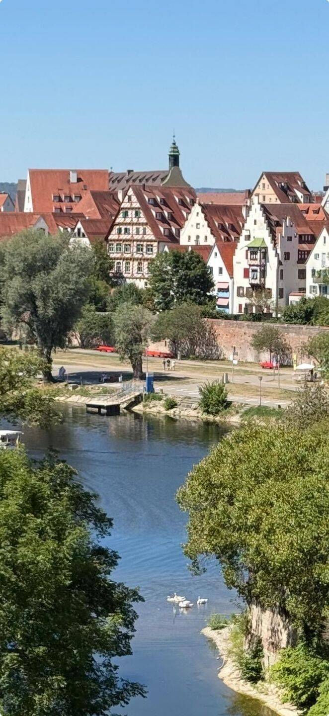 neu möblierte 2-Zimmer-City-Wohnung mit Traumblick auf Donau und Altstadt von Ulm