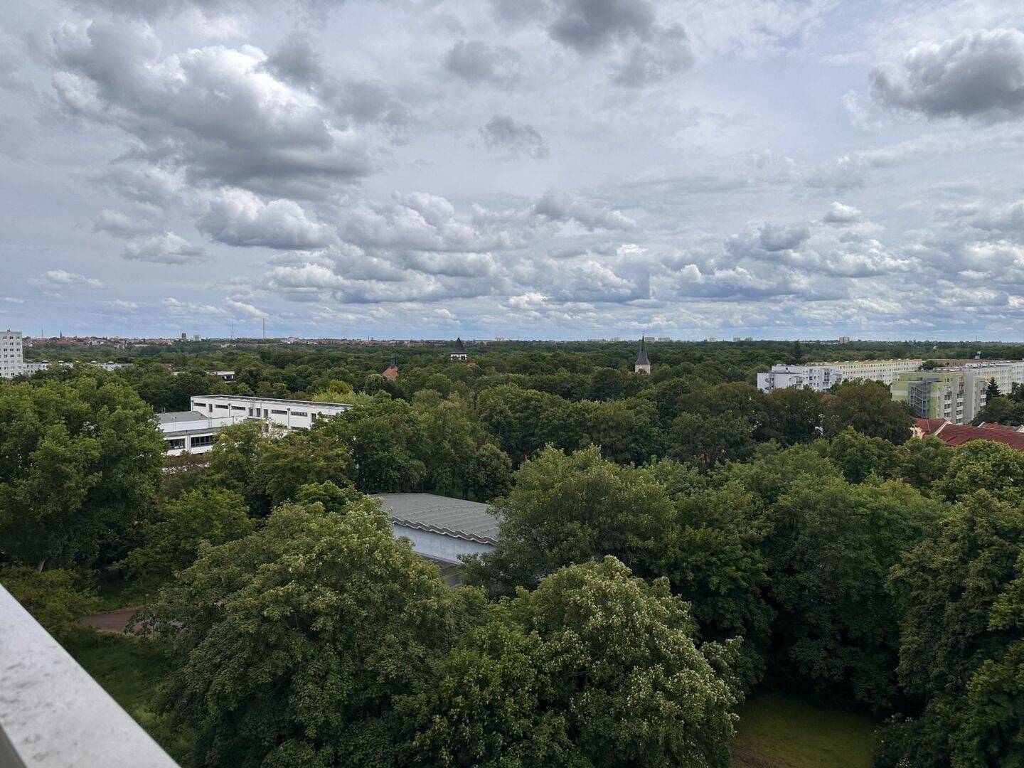 Weitblick über die Baumkronen: 3-Zimmer-Wohnung mit Balkon in Halle (Saale), 6124 Halle (Saale) (Saaleaue Südliche Neustadt Westliche Neustadt)