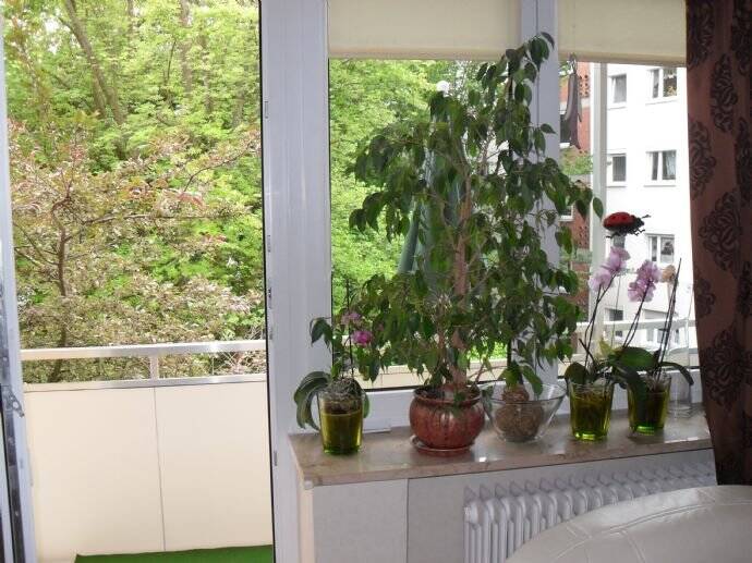 N-St. Leonhard: Ruhige, Drei-Zimmerwohnung mit Balkon am Wohnzimmer, Blick ins Grüne!, 90439 Nürnberg (Großreuth bei Schweinau Schweinau Sankt Leonhard Sündersbühl)