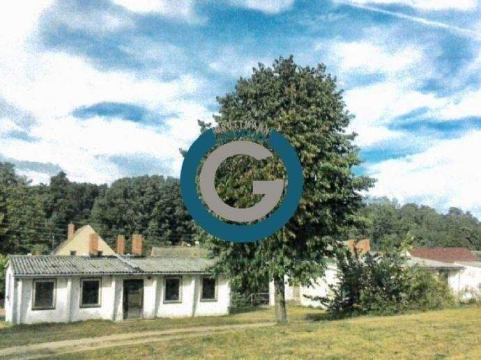 image-72724834