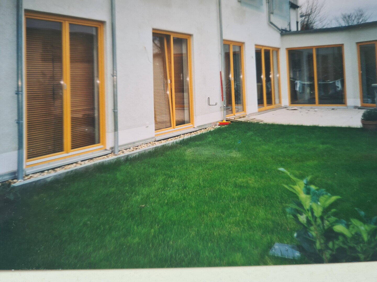 image-72937785
