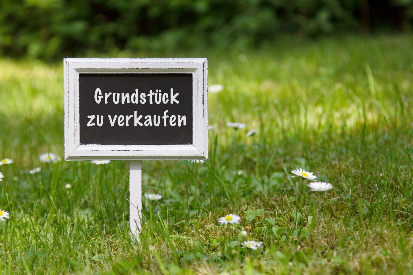 AIGNER – Attraktives Grundstück mit großzügigem Südgarten und Bebauungspotenzial, 80935 München (Feldmoching-Hasenbergl Milbertshofen-Am Hart)