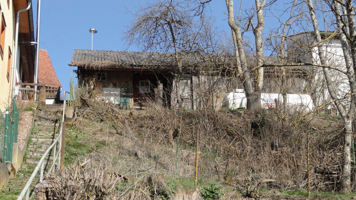 Grundstück mit Entwicklungspotenzial, 79843 Löffingen
