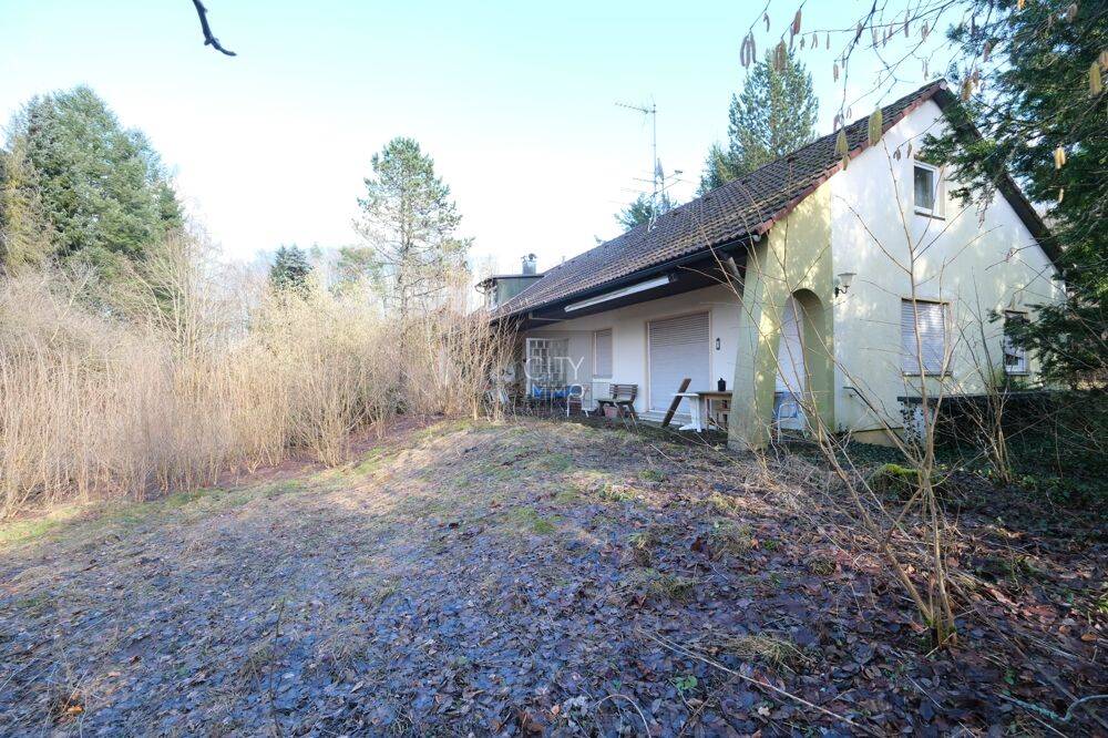 Doppelhaus auf großzügigem Grundstück in Betzenstein – Idyllisch gelegen, 91282 Betzenstein