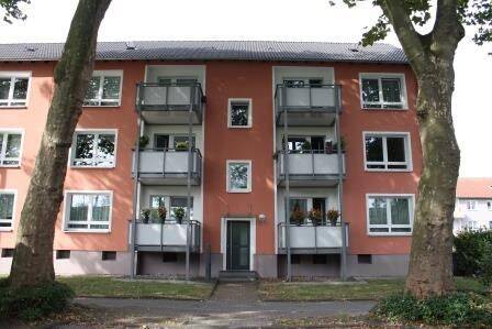 Charmante 3-Zimmer-Etagenwohnung in Bottrop frisch renoviert und bezugsbereit!, 46238 Bottrop (Batenbrock Welheim Welheimer Mark)