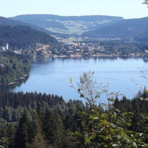 3-Zi. Wohnung Titisee, 79822 Titisee-Neustadt