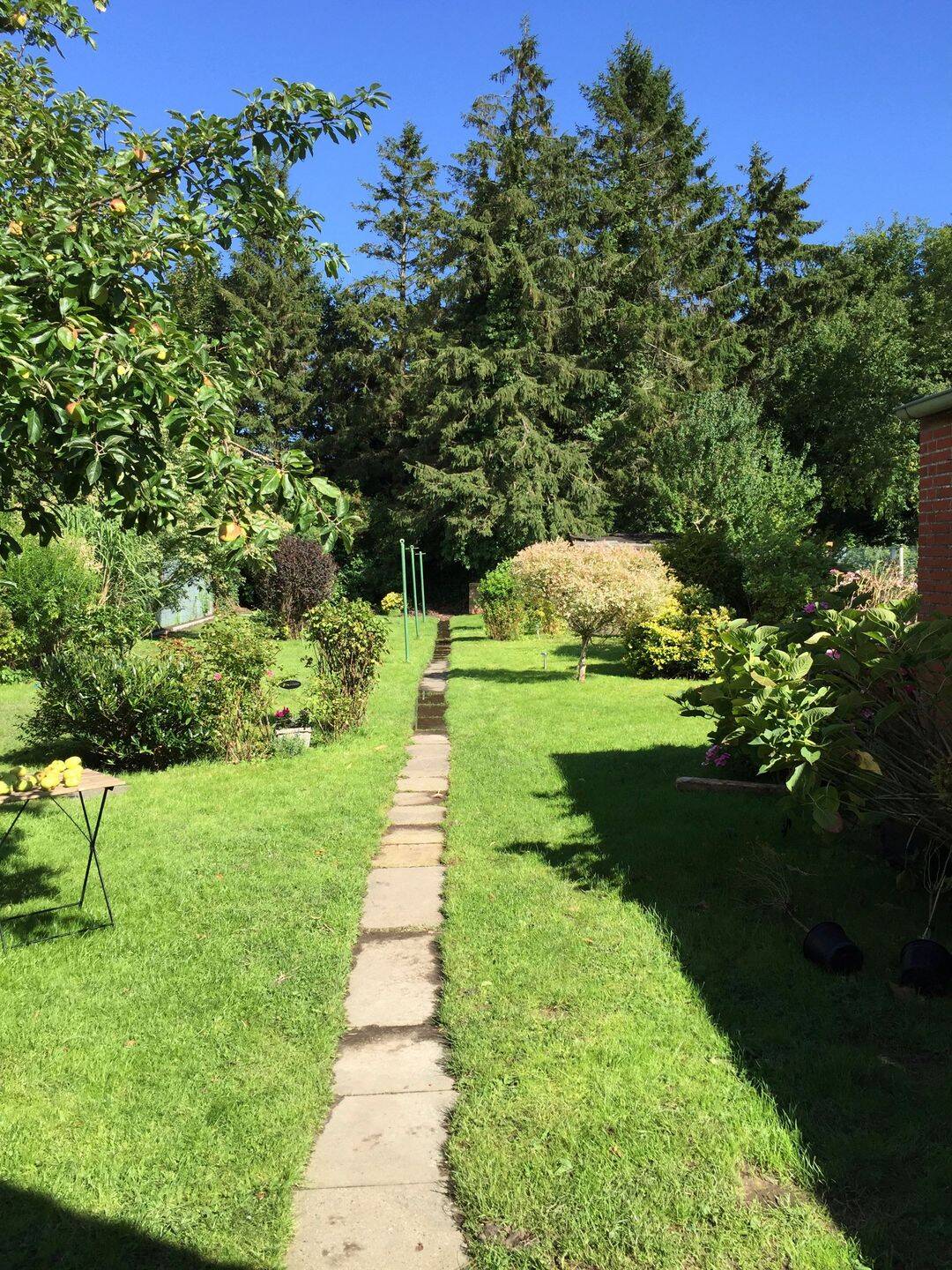 image-72810666