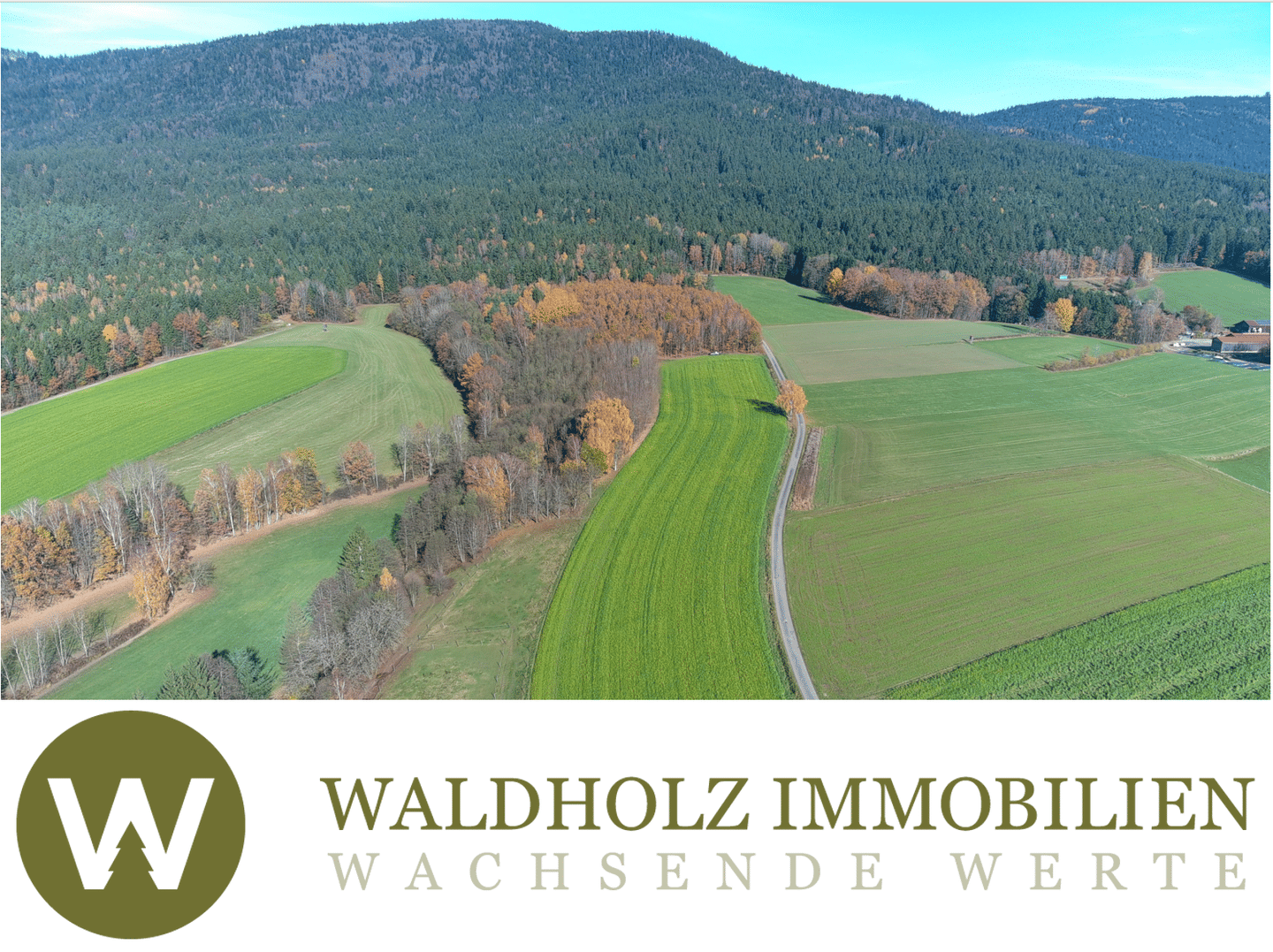 39 Hektar, 2 Hofstellen mit Pferdekoppeln, Reitplatz,Waldgrundtück, Forst, Acker und Grünland im Bayrischen Wald, 93471 Arnbruck