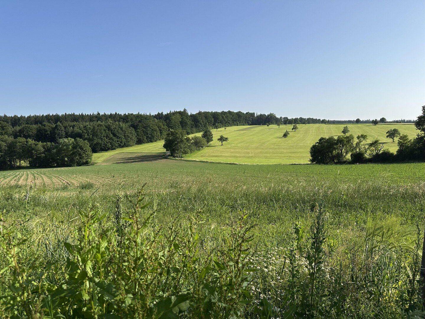 Schöner Bauplatz mit freier Sicht auf Wiesen und Wald in Schorndorf Unterberken Enzianweg, 73614 Schorndorf