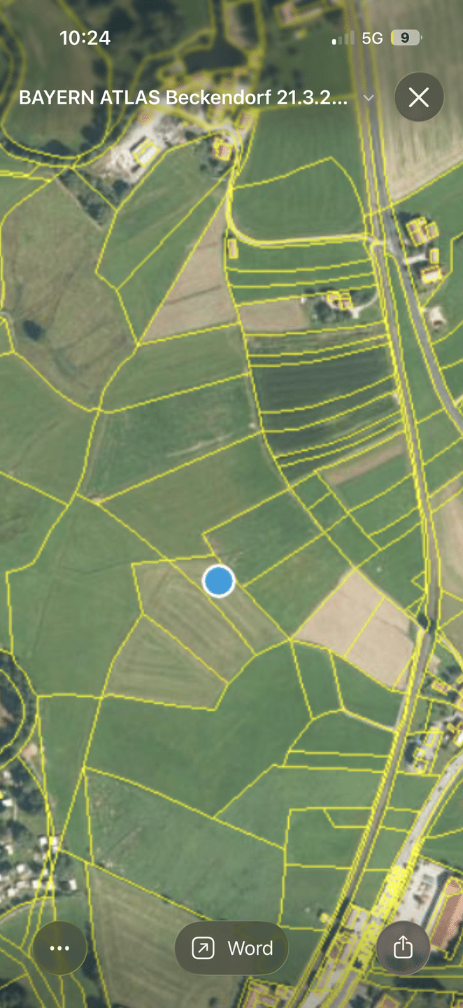 Wiese, 93444 Bad Kötzting