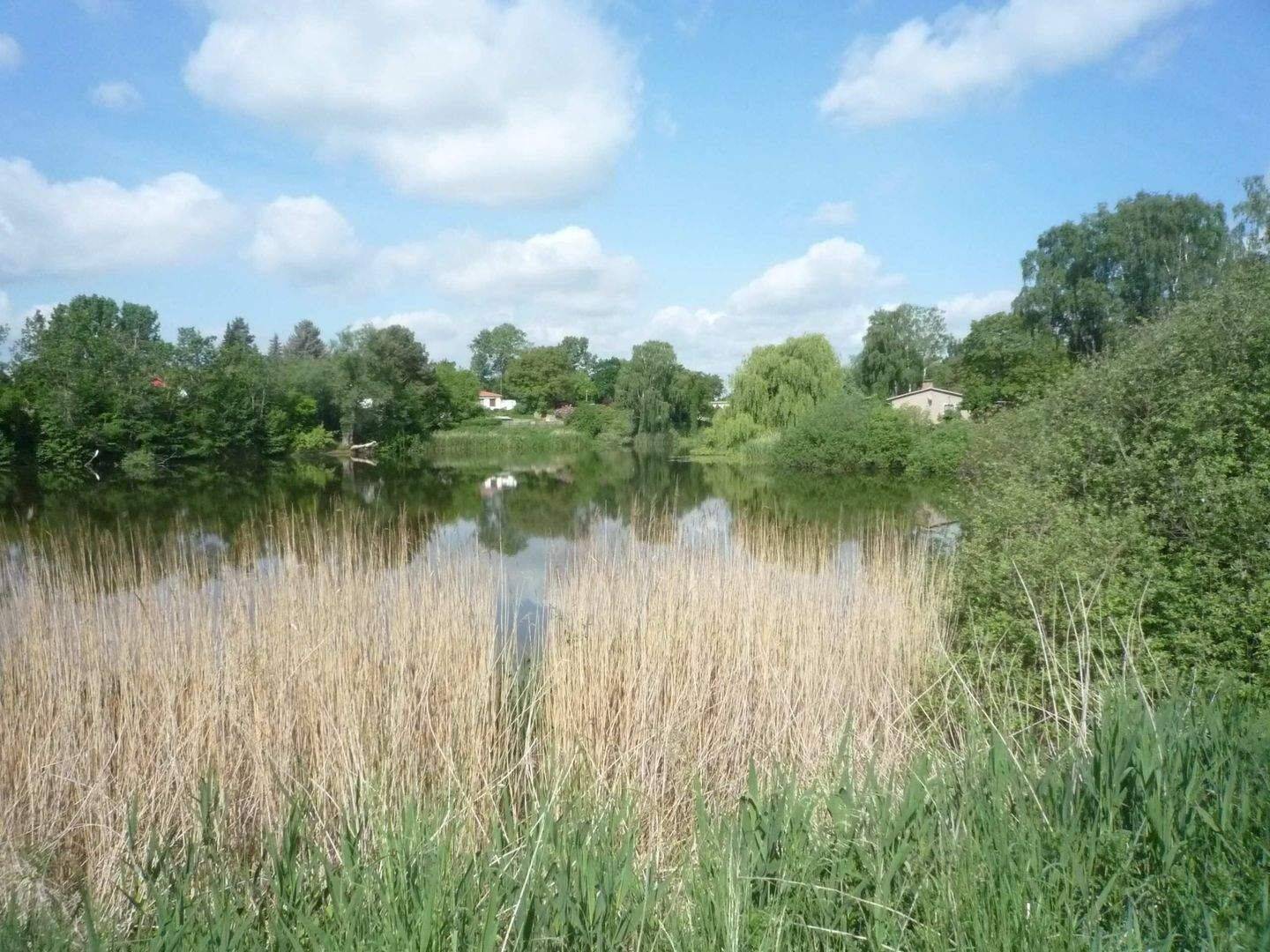 Idyllische Lage und doch fast Berlin -Doppelhaushälfte in Hönow mit U-Bahnanbindung in die City, 15366 Hoppegarten