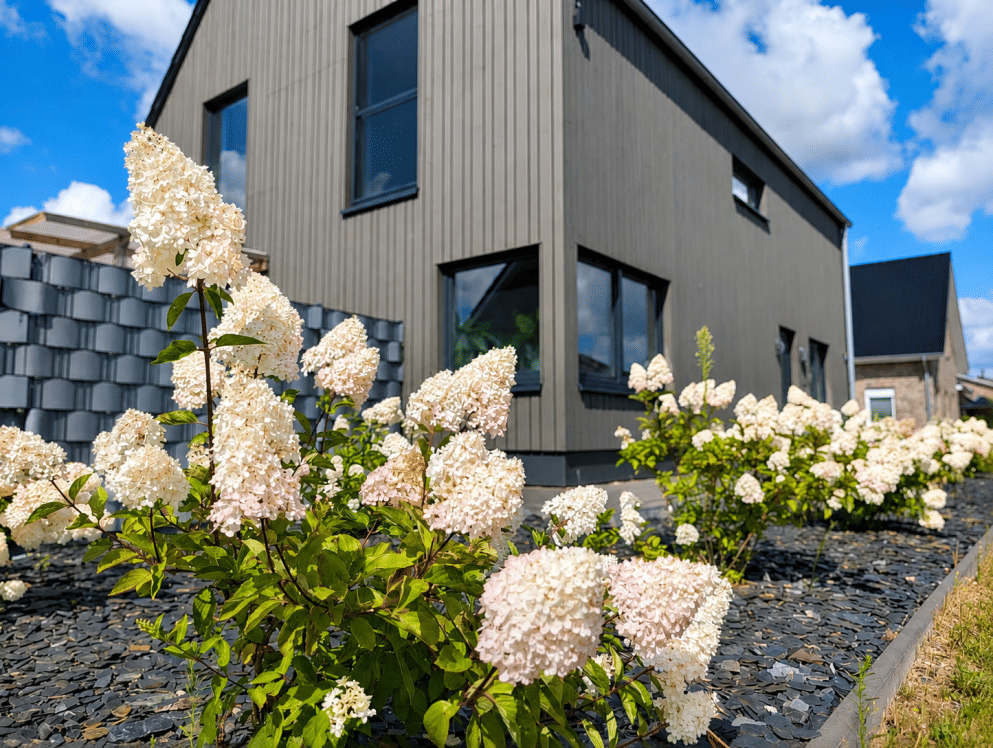 Modernes KfW-55-Haus mit skandinavischem Charme sucht neue Familie, 26897 Bockhorst