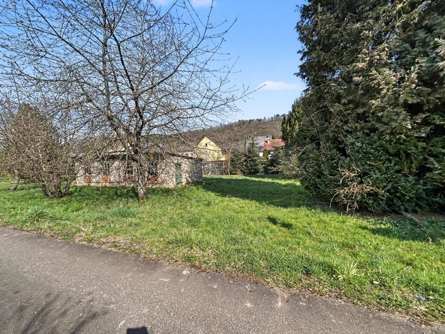 Becherbach bei Kirn: Bauernhaus mit großzügigem Grundstück und vielfältigem Entwicklungspotenzial, 55608 Becherbach bei Kirn