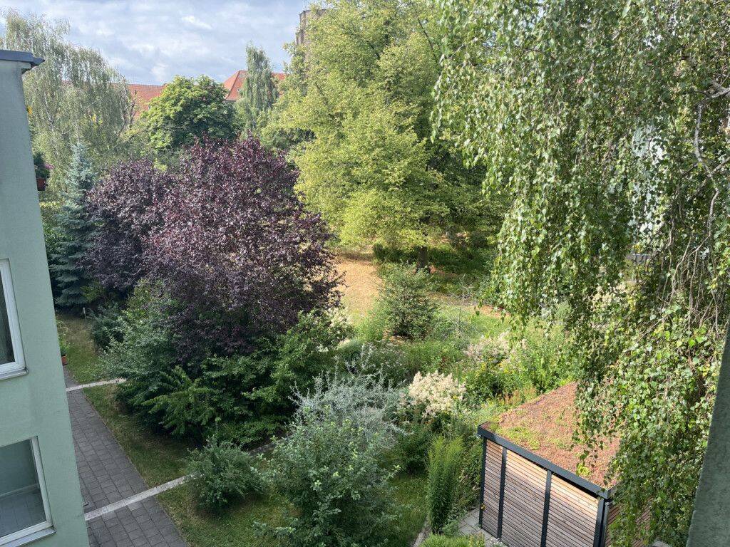 3 Raum-Wohnung im Grünen, 6110 Halle (Saale) (Damaschkestraße Gesundbrunnen Innenstadt Lutherplatz Saaleaue)