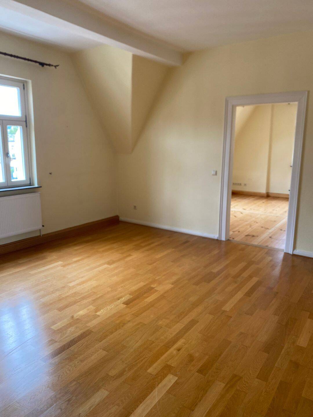 Traumhafte Altbauwohnung im Hain, 96047 Bamberg (Bamberg Gaustadt)
