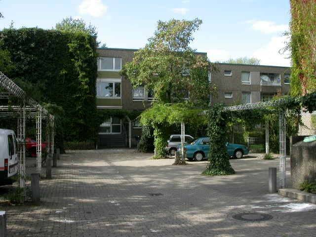image-72846845