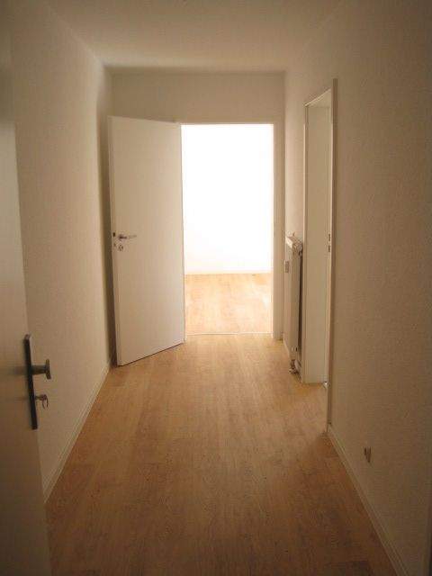 image-72507832