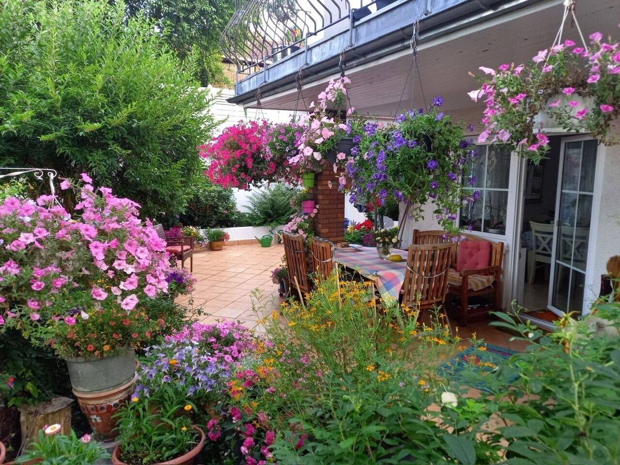 image-72407081