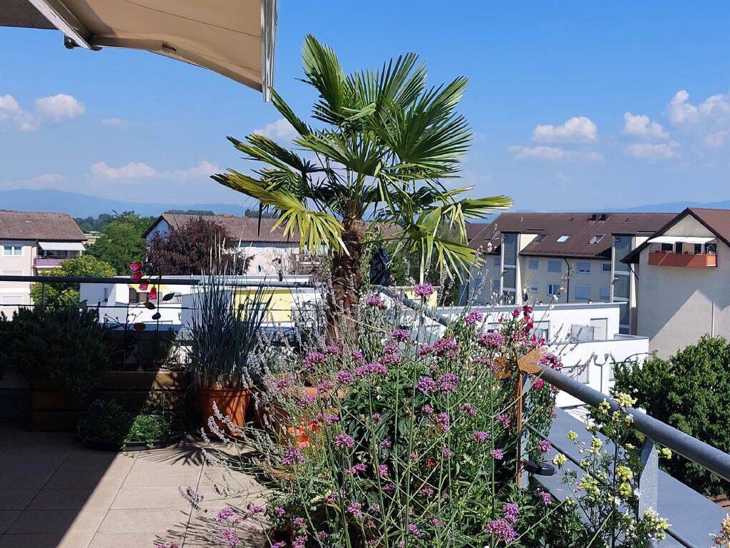 Ein Träumchen: Penthouswohnung in Breisach, 79206 Breisach am Rhein