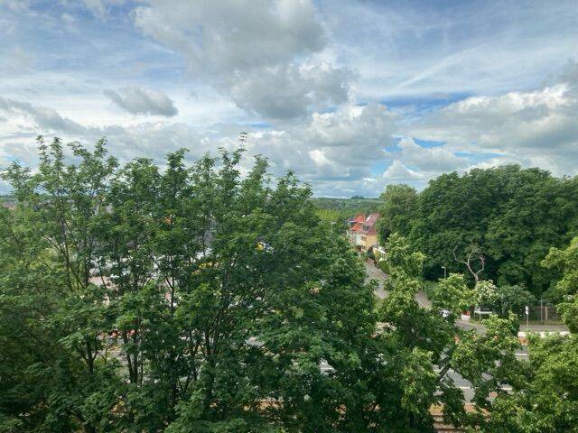 image-73004840