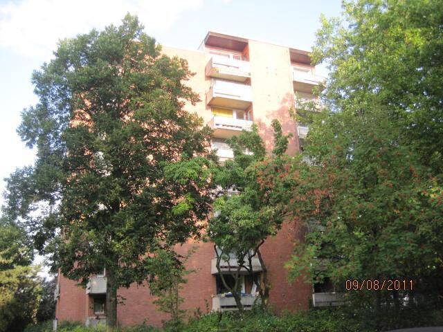 image-72895545