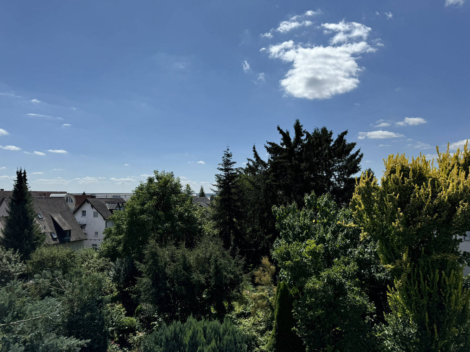 Stuttgart Degerloch, ruhige Zentrumslage 3,5 Zimmer-Wohnung mit geschlossenem Balkon ca. 79qm, Fernsicht/Ausblick., 70597 Stuttgart (Degerloch Hoffeld Kaltental Möhringen Sonnenberg)