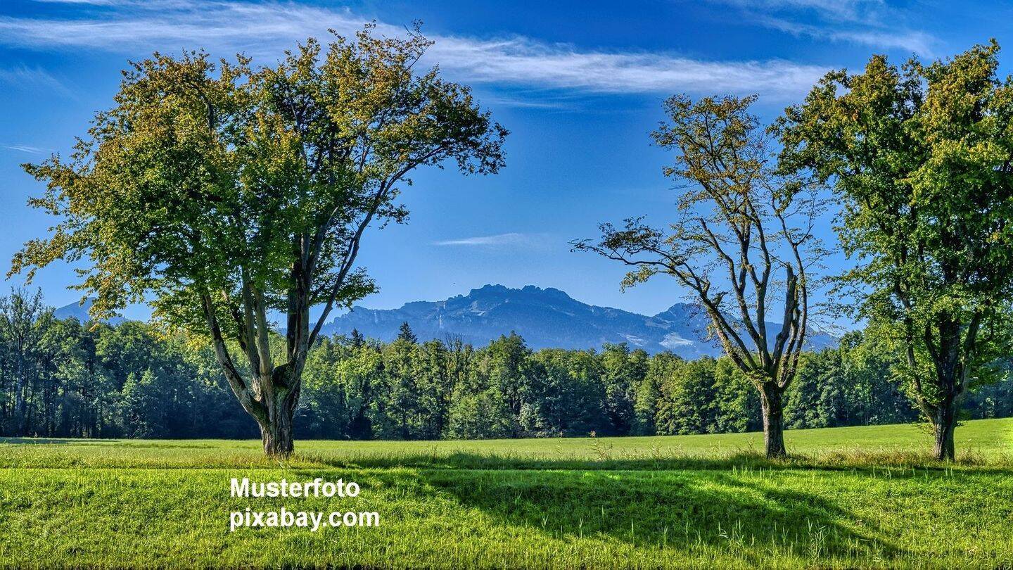* SECRET SALE * – Ihr idyllisches Refugium – in traumhafter Wohnlage, 83233 Bernau a. Chiemsee