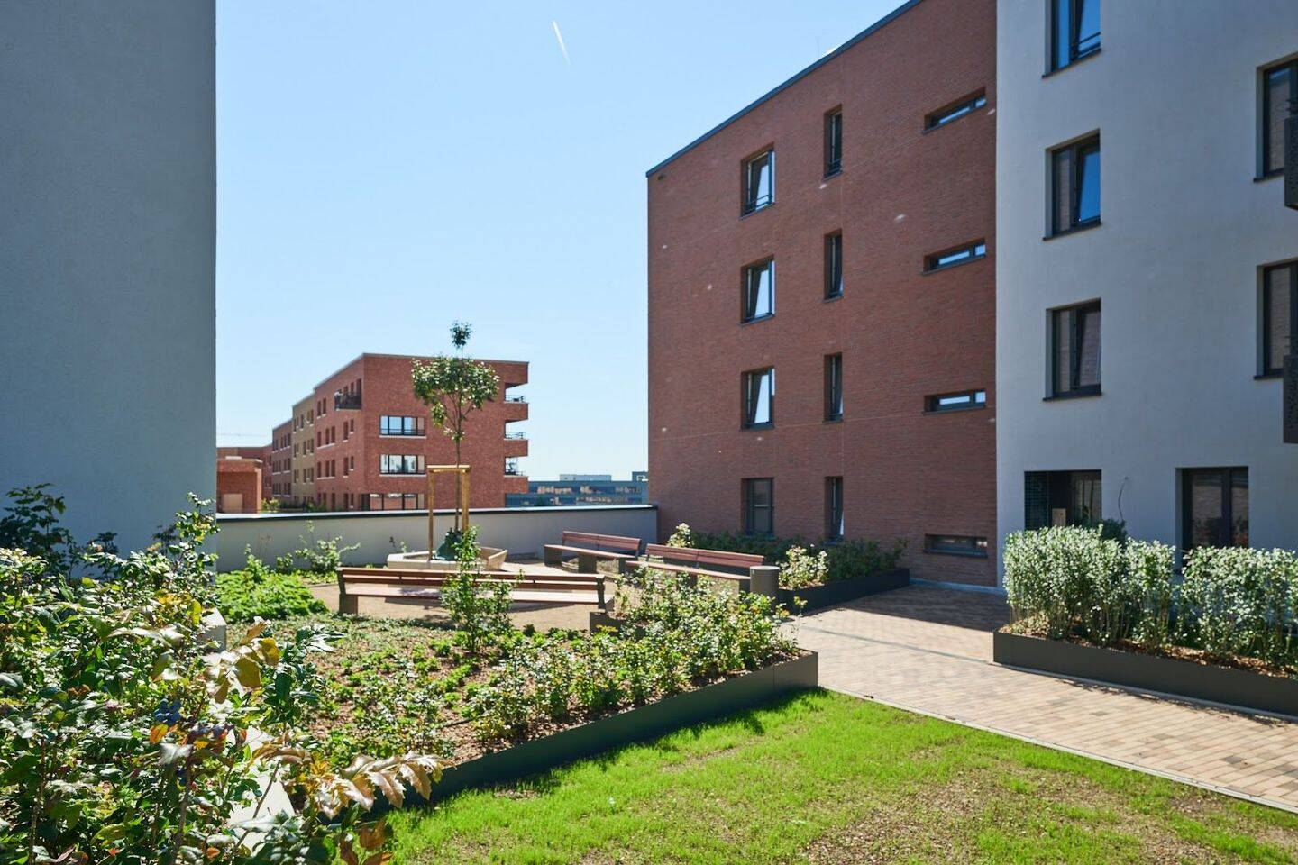 Kronsrode: Erstbezug einer 3-Zimmerwohnung / 1.Monat mietfrei!
