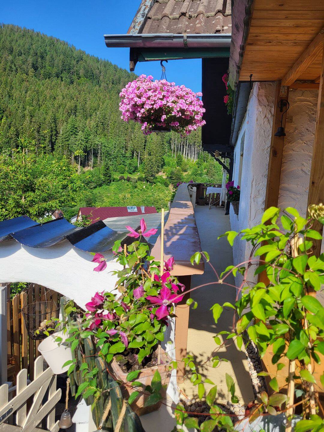 Bezauberndes Schwarzwaldhaus/ Ferienhaus zu verkaufen, 72270 Baiersbronn