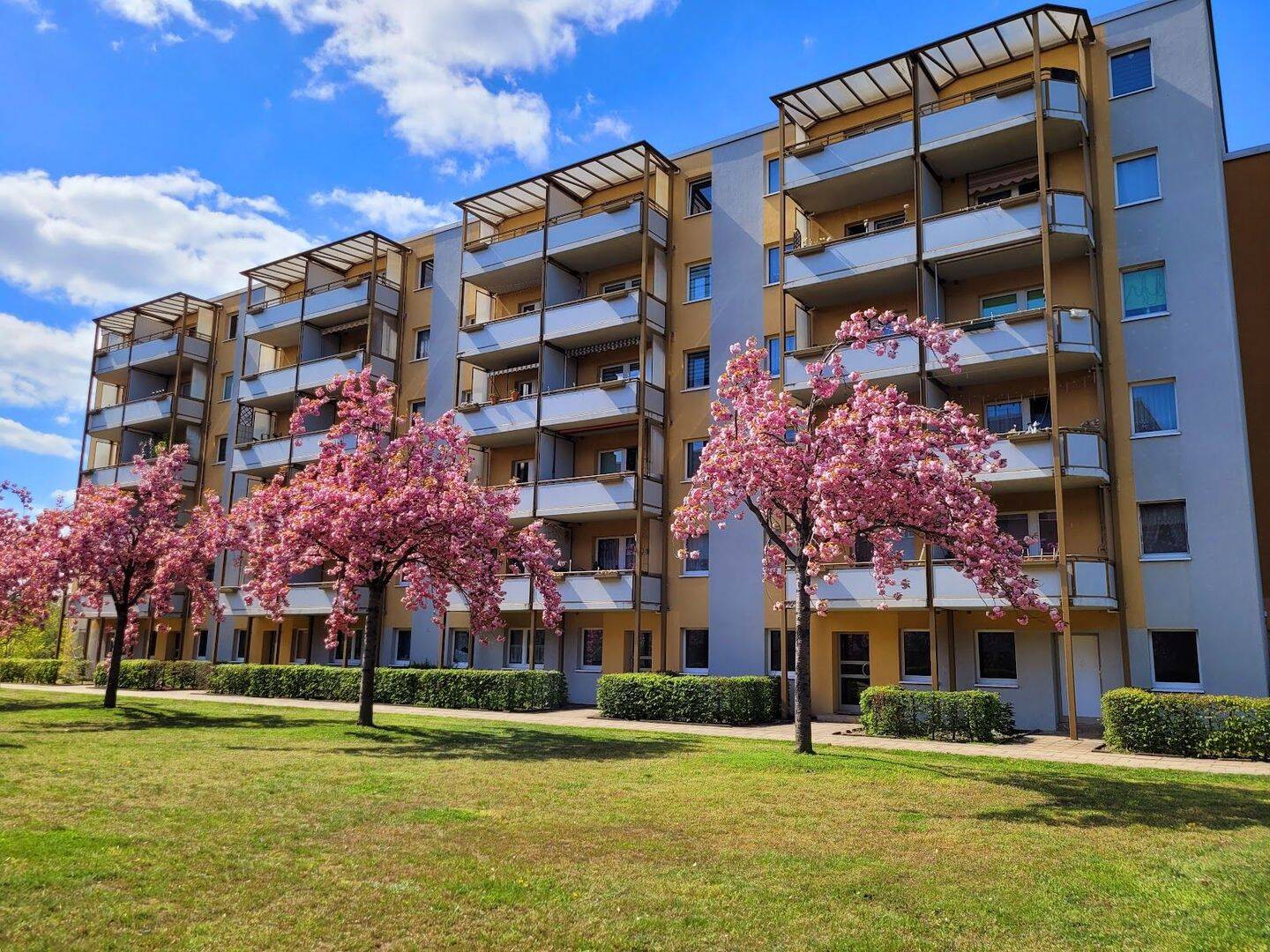 Praktischer Grundriss trifft auf angenehmes Wohngefühl, 15232 Frankfurt (Oder) (Frankfurt)
