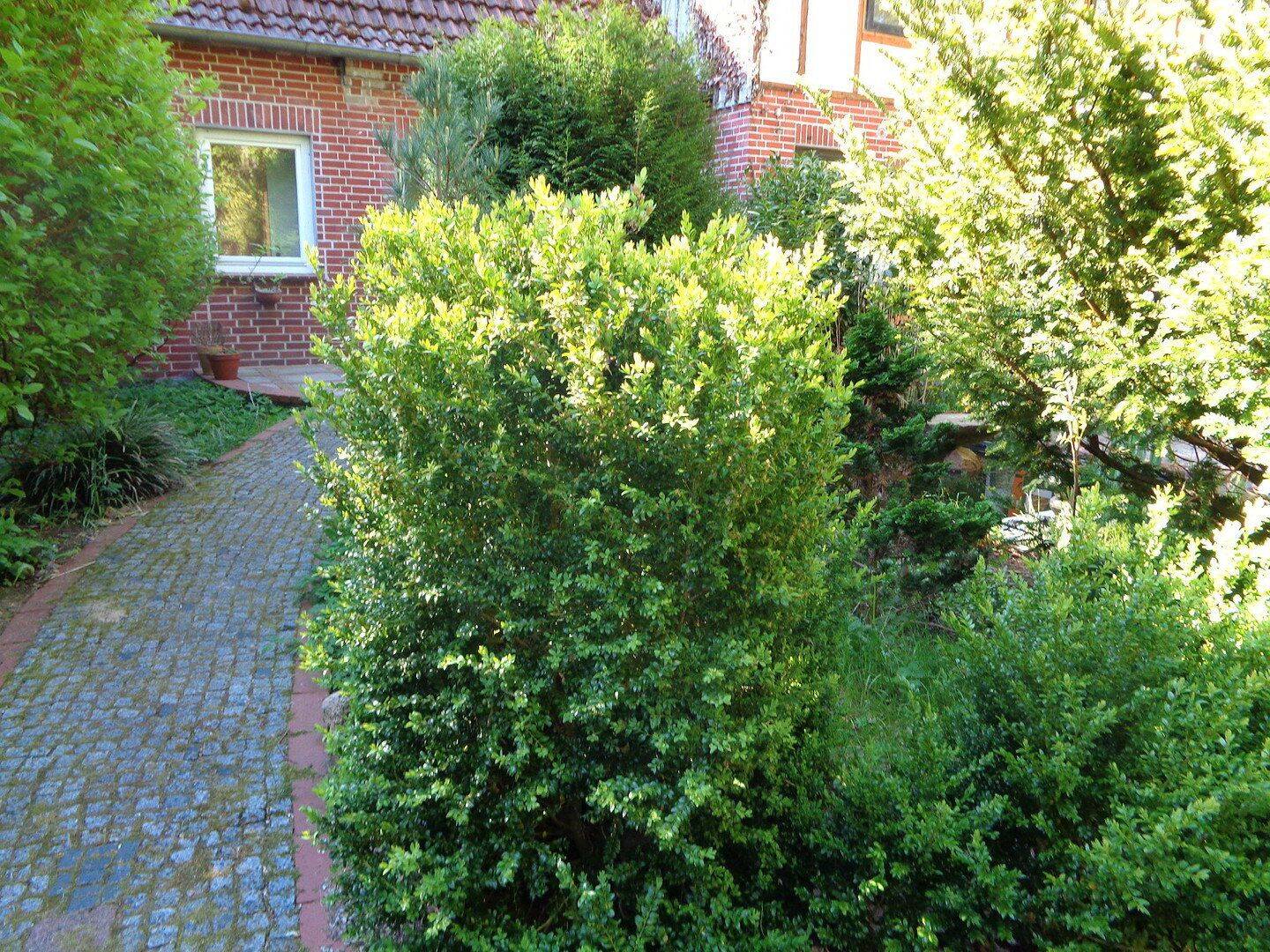 Anlieger Terrassenwohnung Schneverdingen OT., 29640 Schneverdingen