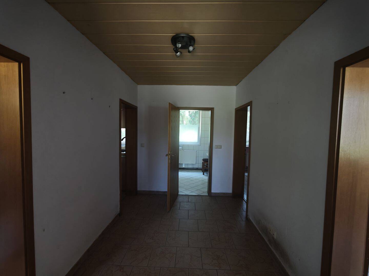 image-72490981