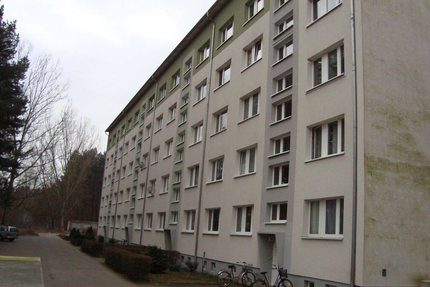image-72620605