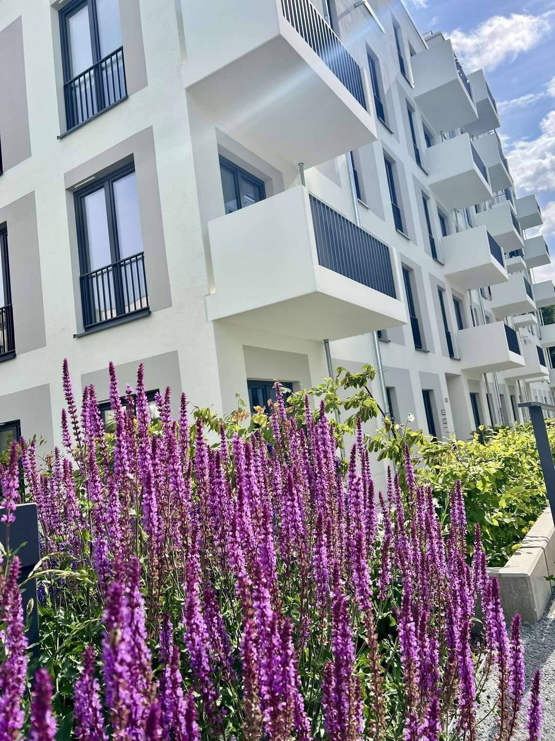 3 Zimmer Terrasse – HAVELUFER Quartier, 13587 Berlin (Spandau Hakenfelde Kolonie Wannseeaten Siedl. Wohnsiedlung Hakenfelde)