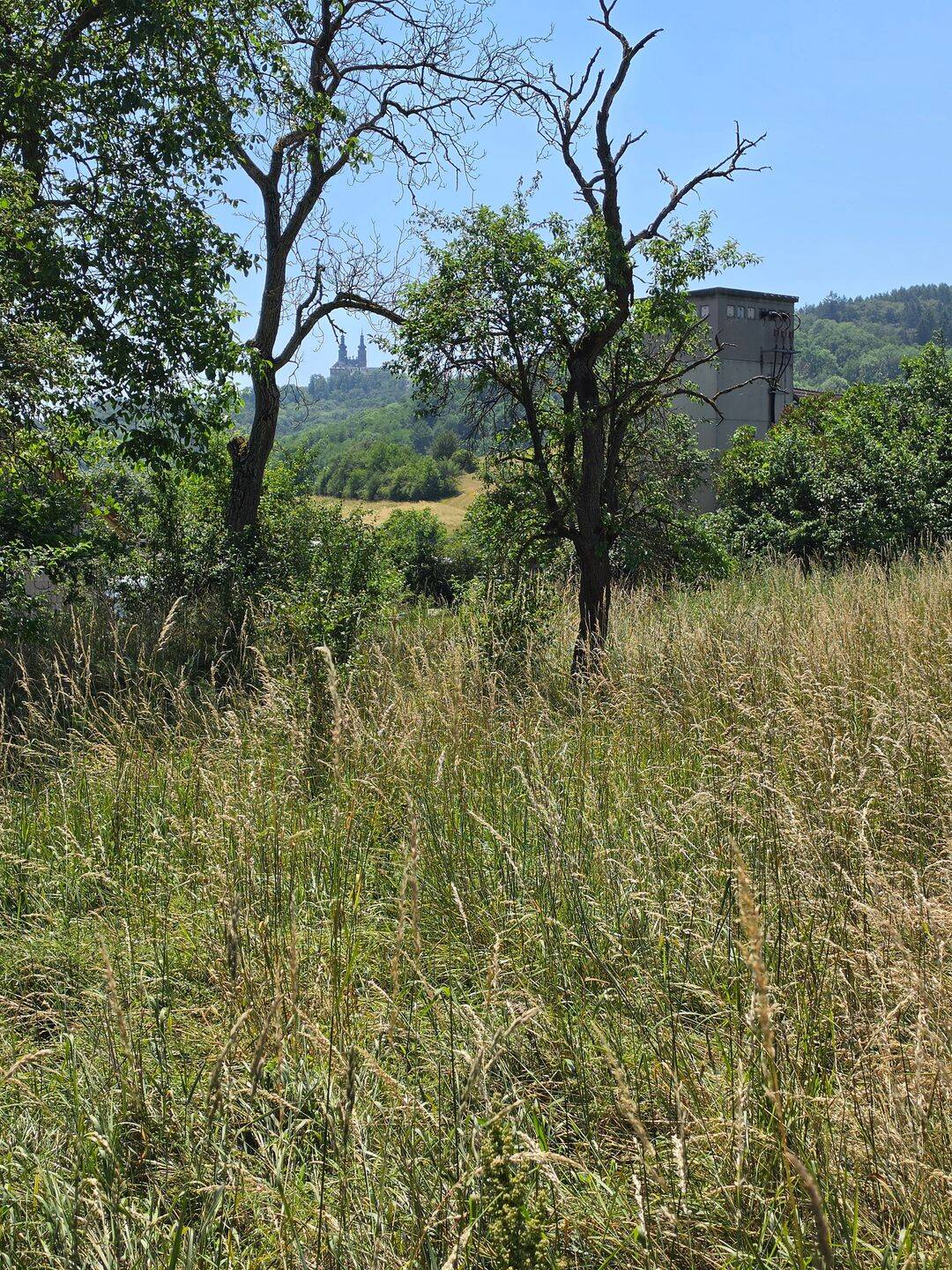 Natur pur! – Blick auf Kloster Banz – Baugrundstück mit großer Gartenfläche, 96215 Lichtenfels