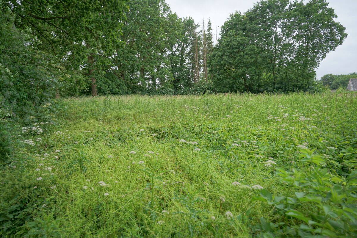 Volksbank Immobilien: Grundstück in attraktiver Lage in Beverstedt-Frelsdorf, 27616 Beverstedt