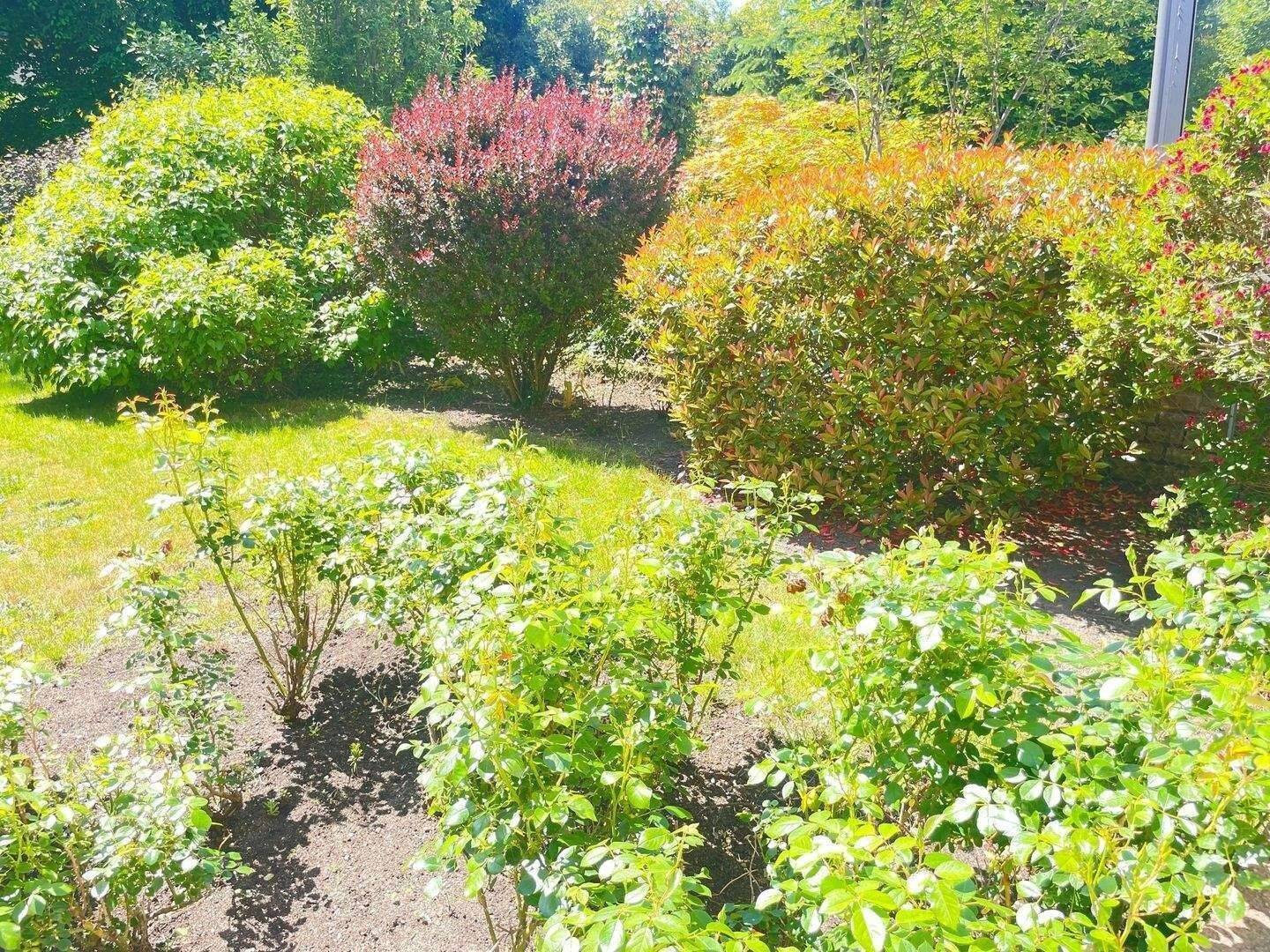 Genießen Sie den Sommer in Ihrem neuen großen Garten in Mögeldorf SOFORT FREI, 90480 Nürnberg (Gleißhammer Mögeldorf Tiergarten Weichselgarten Zerzabelshof)