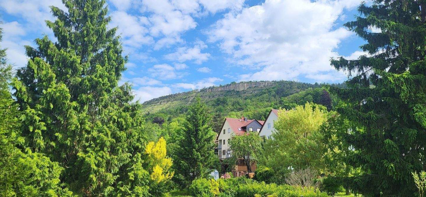 3-Zimmer Dachgeschoss Wohnung mit Balkon, Garten und herrlicher Fernsicht, 7747 Jena (Lobeda)