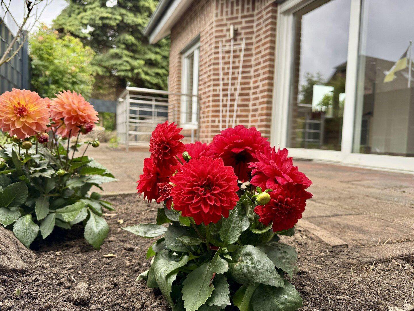 Schönes Haus für 2-3 Personen mit großer Terrasse, 47447 Moers