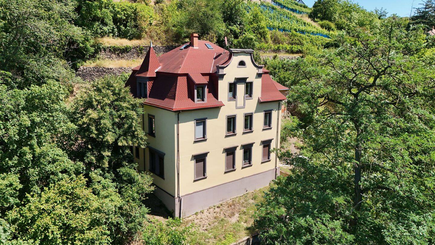 Exklusive hochwertig sanierte Villa mit Weinbergterrassen, 1662 Meißen