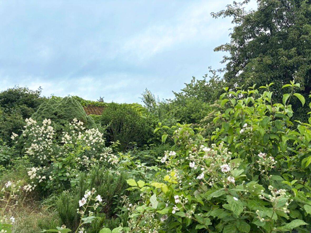 Auf der Sonnenseite: 3-ZKB-Gartenwohnung – KS-Harleshausen-Jungfernkopf, 34128 Kassel (Harleshausen Jungfernkopf Kirchditmold)