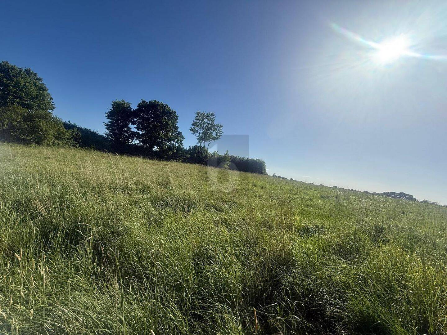 SONNIG, RUHIG & NATURNAH MIT AUSBLICK, 23738 Riepsdorf