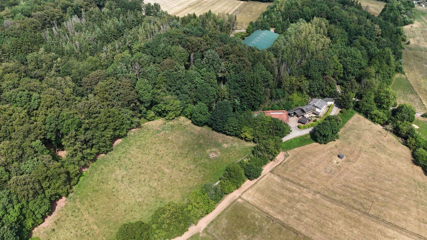 Exklusive Reitanlage mit Wohnhaus, Reithalle und  ca. 40 000 m2 Eigenland und ca 27000m2 Pachtland in traumhafter Alleinlage, 66687 Wadern