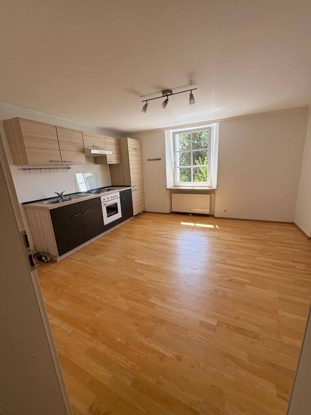 2-Zimmer Wohnung – WG geeignet – Direkt am Bahnhof mit Gartennutzung, 94032 Passau (Altstadt Haidenhof-Nord Haidenhof-Süd Innstadt)