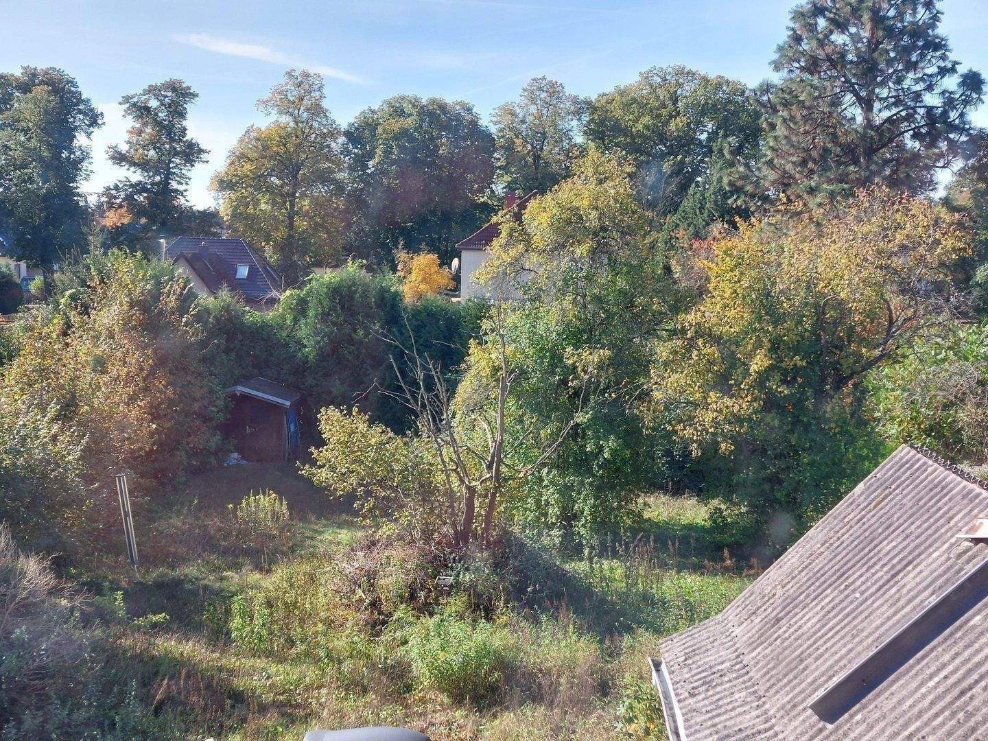 image-72775646