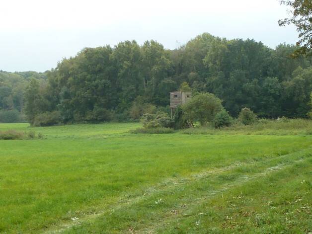 Alleinlage mit 100 qm Haus, Scheunen und 92 Hektar Land, 17337 Groß Luckow