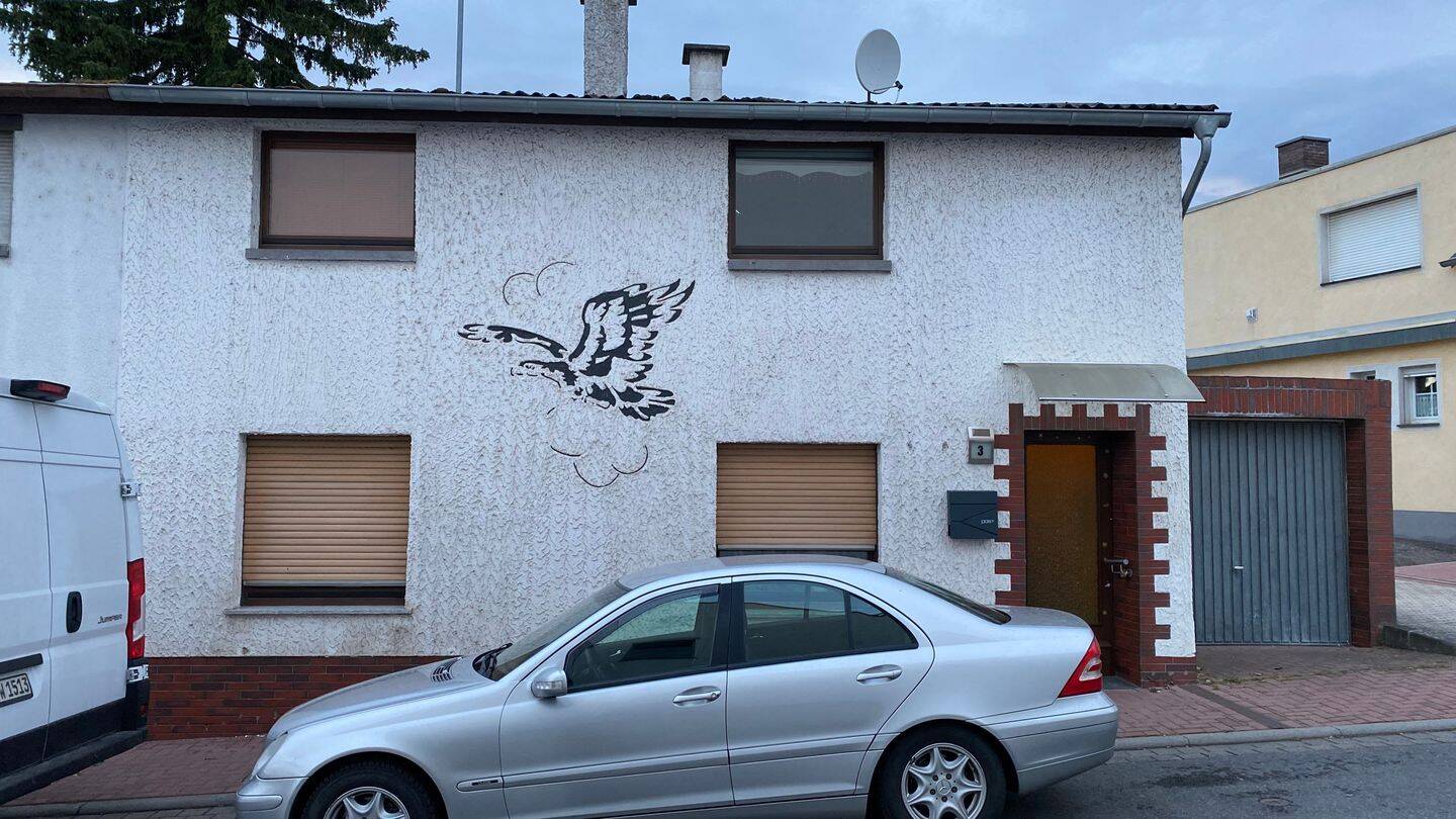 image-72248033