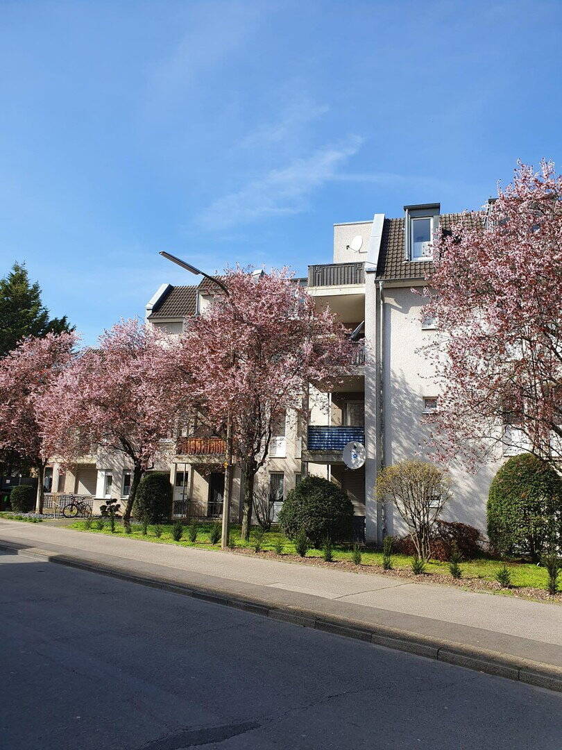 3 Zimmer Wohnung mit Balkon in Niederkassel, 53859 Niederkassel