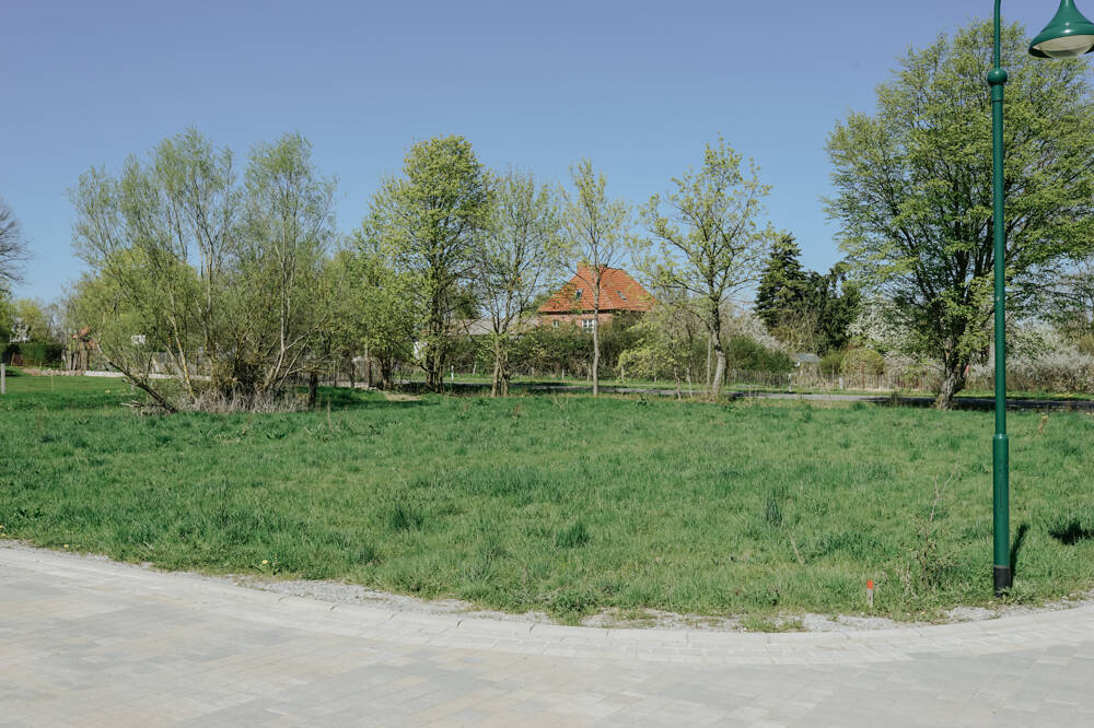 image-72483885
