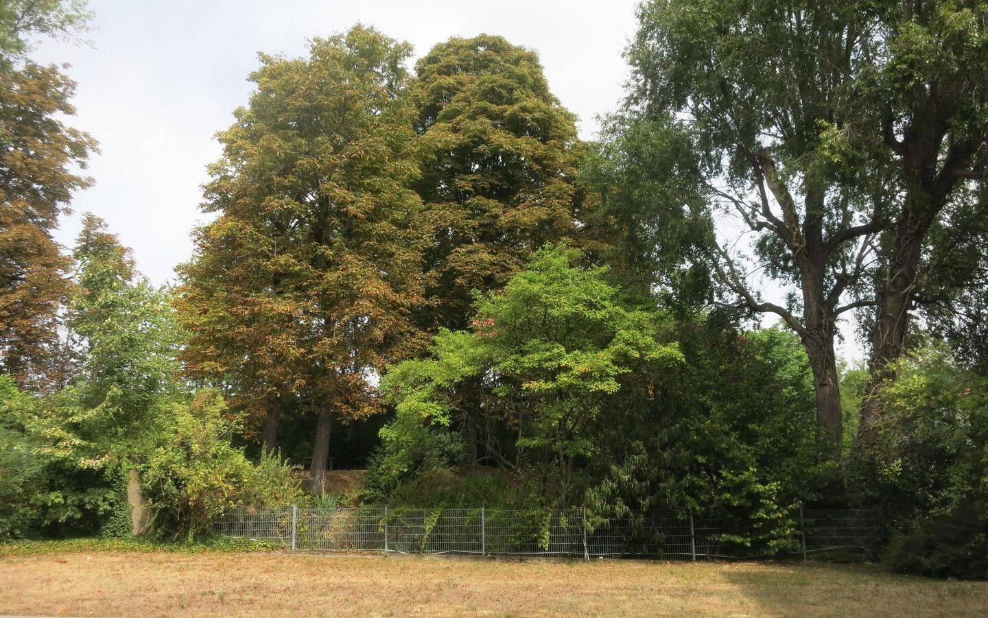 Schönes Apartment in Köln-Mülheim in ruhiger Bestlage mit Gartenblick, 51063 Köln (Mülheim Buchheim Stammheim)
